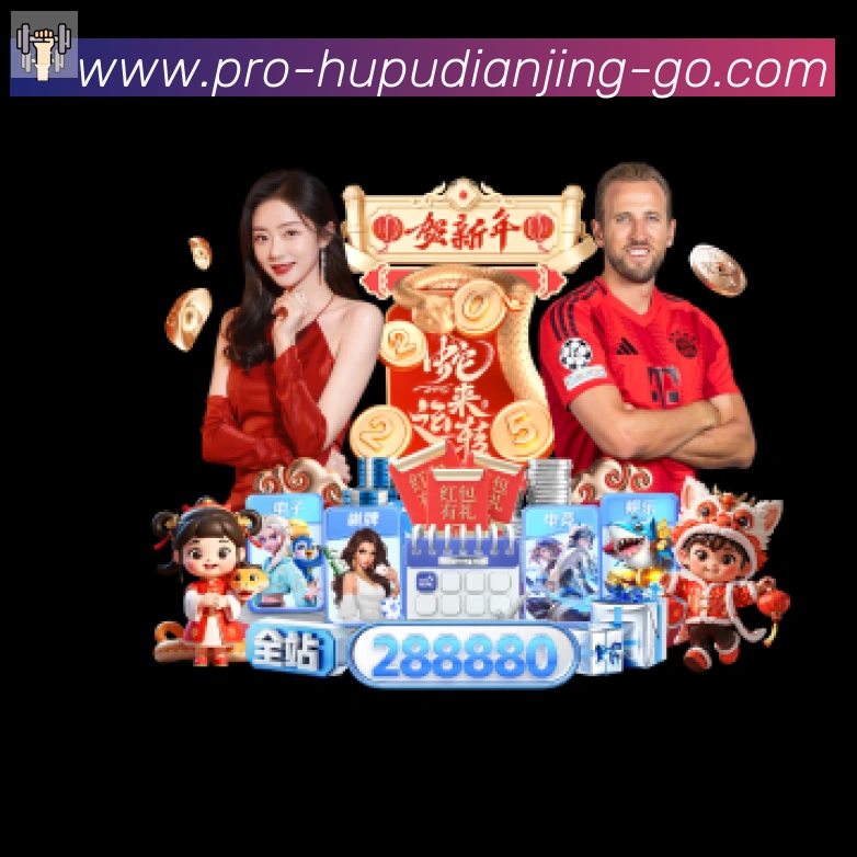 未来规划